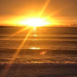 Meet your Posher, Alma